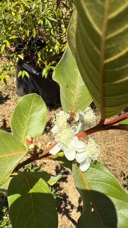 4FA0DE4B-56A8-460B-B5AF-BF82AD3EAF07