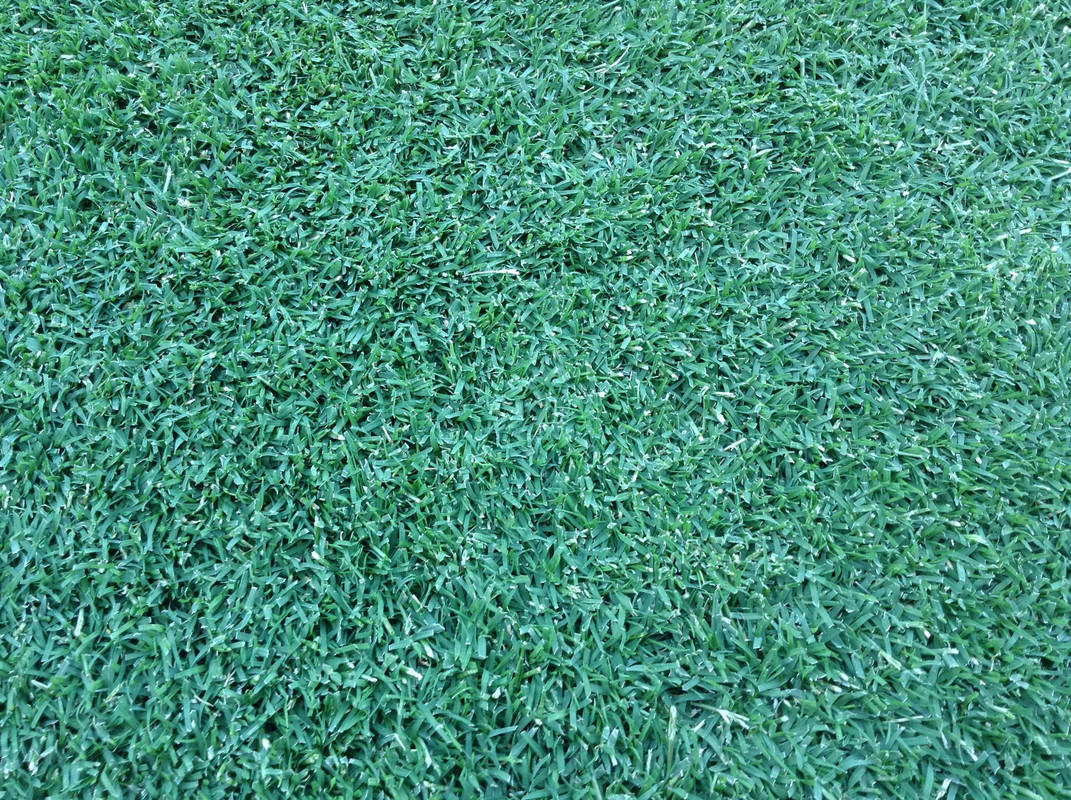 Photo 22-01-2014 20 12 56