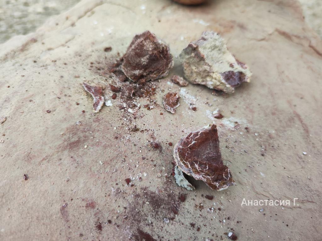 Ленивый Египет (Хургада, Луксор, Каир), декабрь 2025 - январь 2026