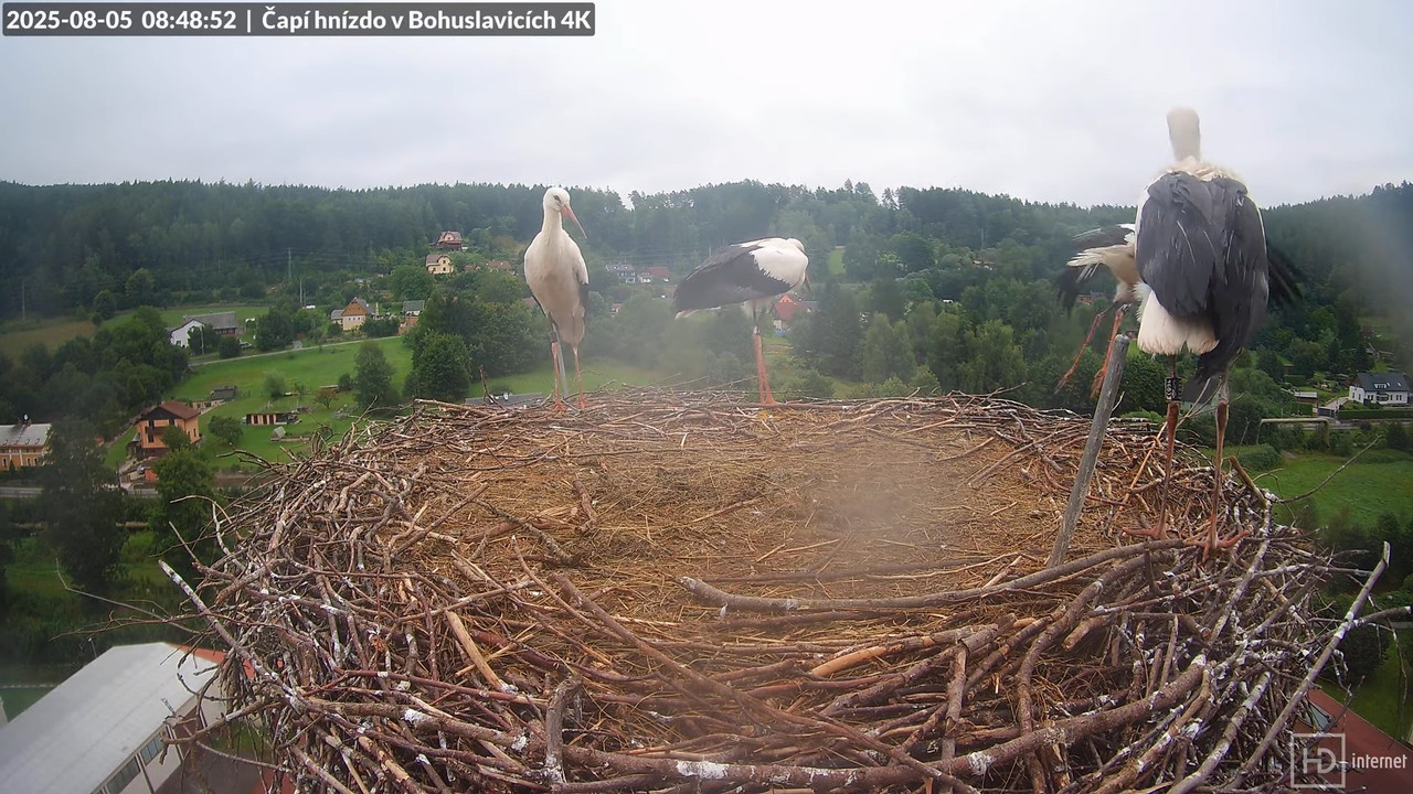 Tiešraide no KARA uzņēmuma stārķu skursteņa Bohuslavicē netālu no Trutnovas 9-54-44 screenshot