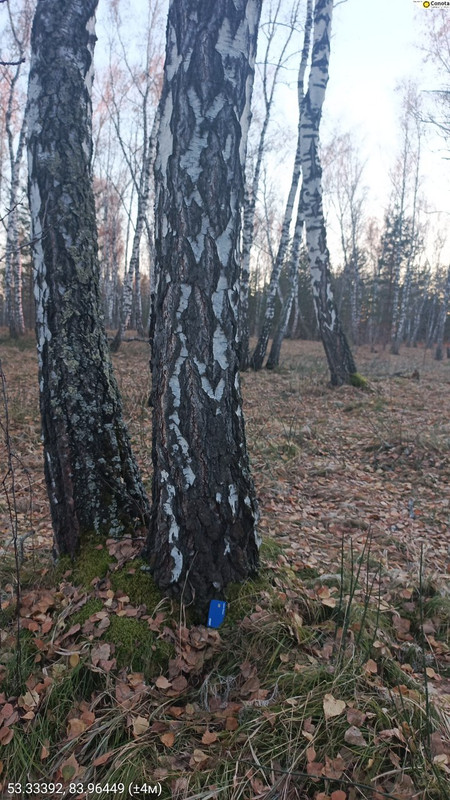 IMG 20251028 134804 873