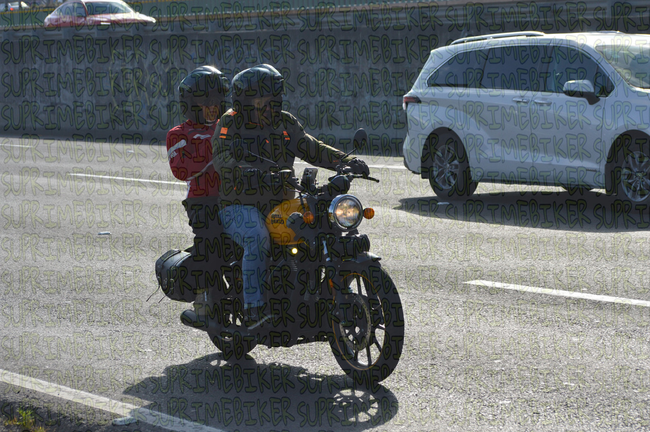 DSC 0044