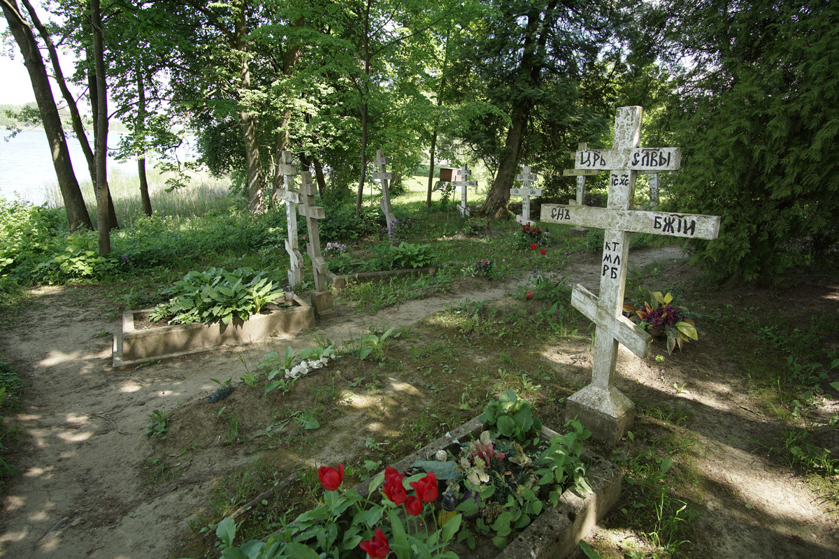 09 - DSC00551 (zbychowiec)