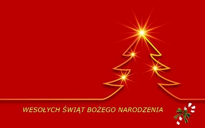 https://i.postimg.cc/KYqYvtSv/christmas-3849201-960-720.jpg