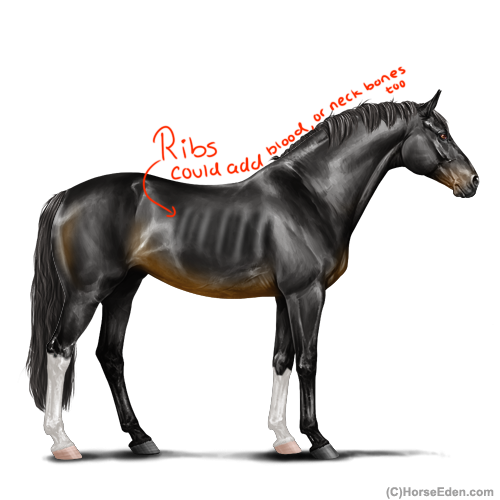Untitled1173-20250723115723.png