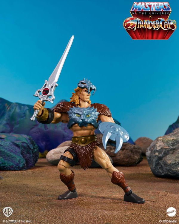 HEMAN-T