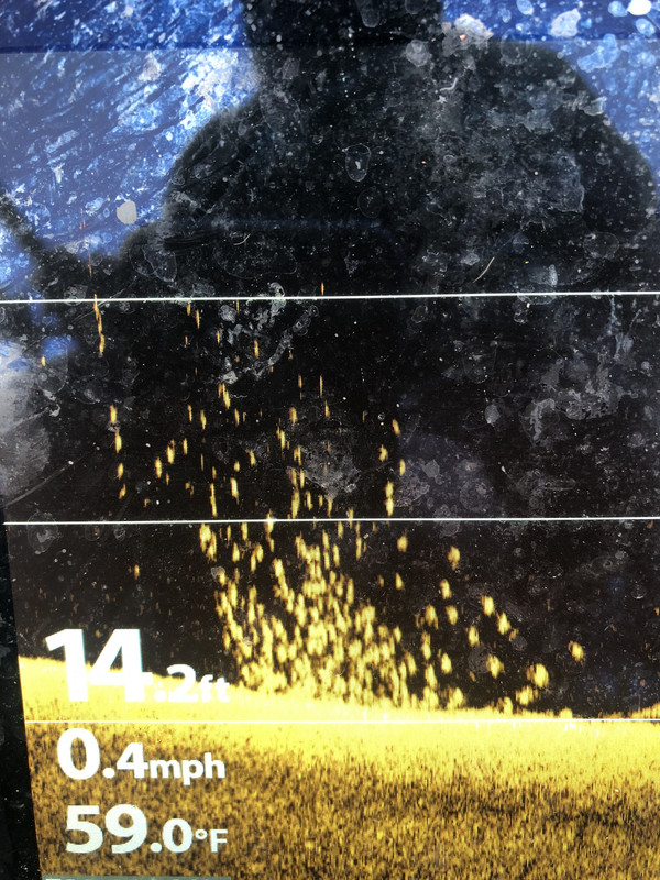 899792A5-AC1E-4265-93B8-94D0FB528273