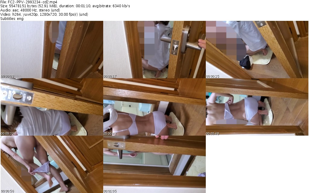 FC2-PPV-2993234-cd2_s