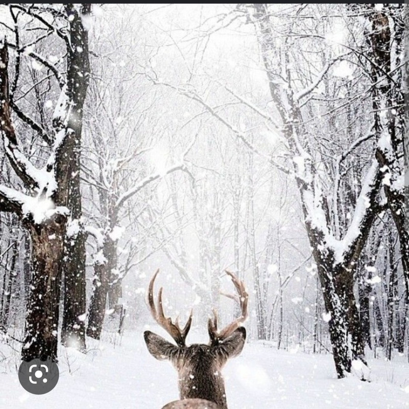 Screenshot_20221125-200217_Chrome