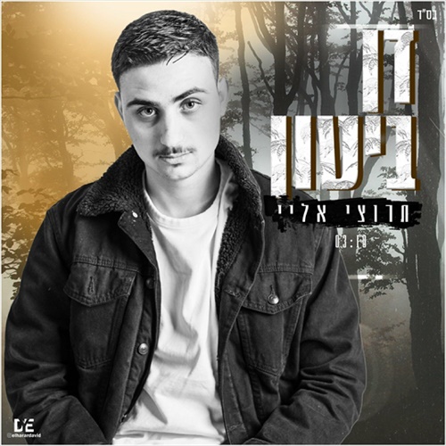 תמונה