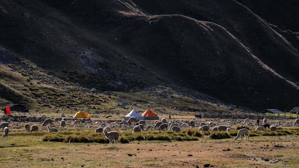 Перу - 10 дней в Кордильерах (треккинг Alpamayo)