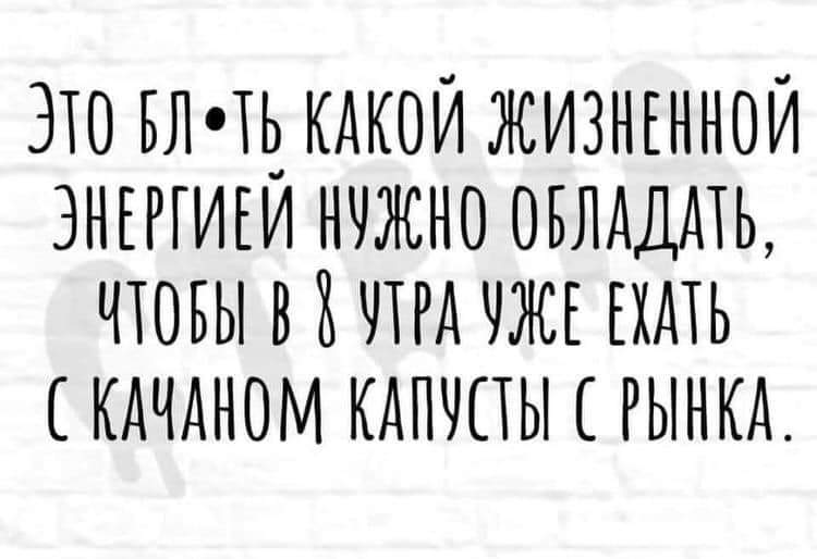 273710649_671645967357253_5786248199616493279_n