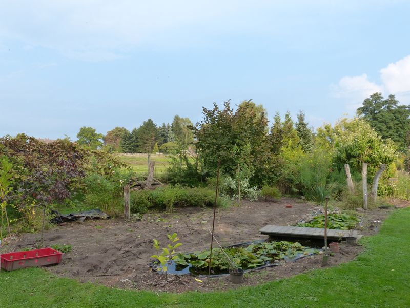 2014-09-07 Präriebeet