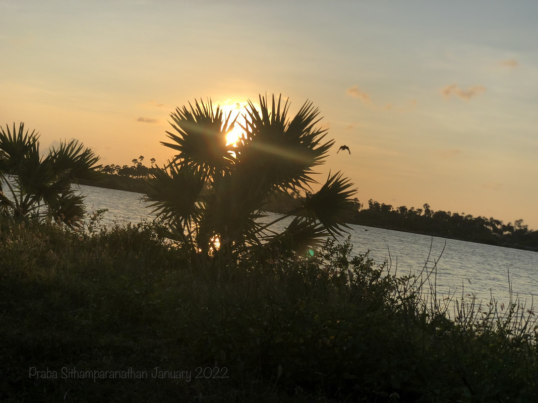 9116-FE4-F-7-FB9-443-A-93-BA-C01-D6-DE90