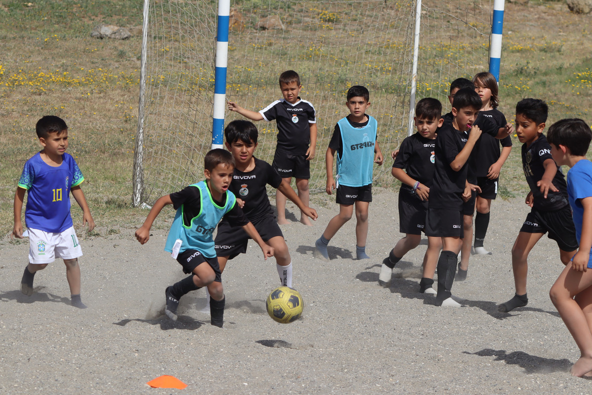 IMG-2296