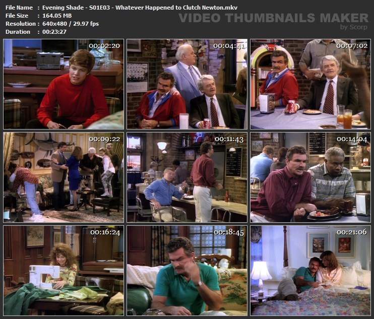 Evening Shade - S01E03 - Whatever Happened to Clutch Newton.mkv