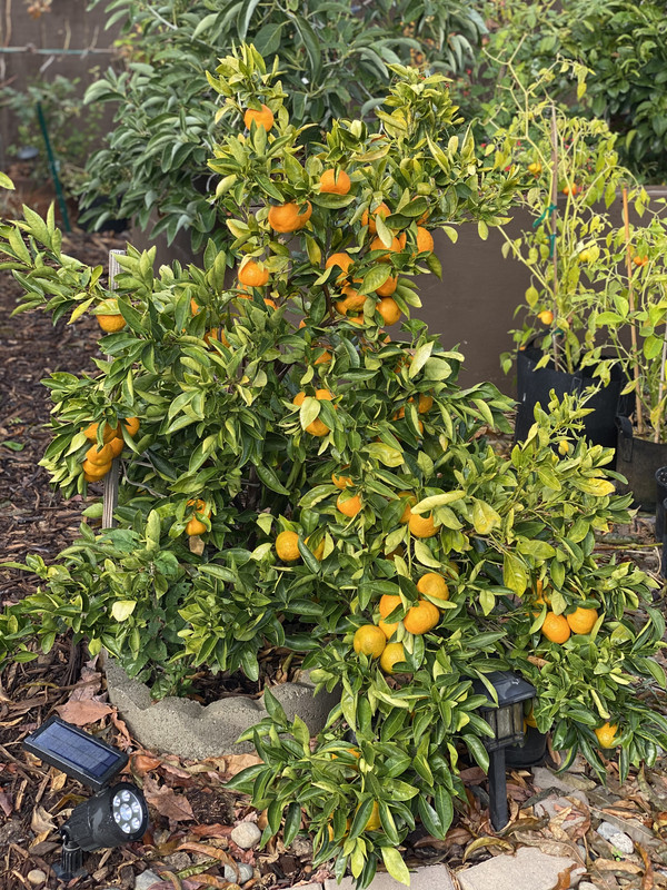 FCF4E93C-5DD6-427C-807C-ED0A98E87421