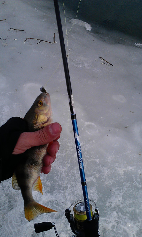 ÐÐ°Ð½Ð¾ Ð.Ð. 5