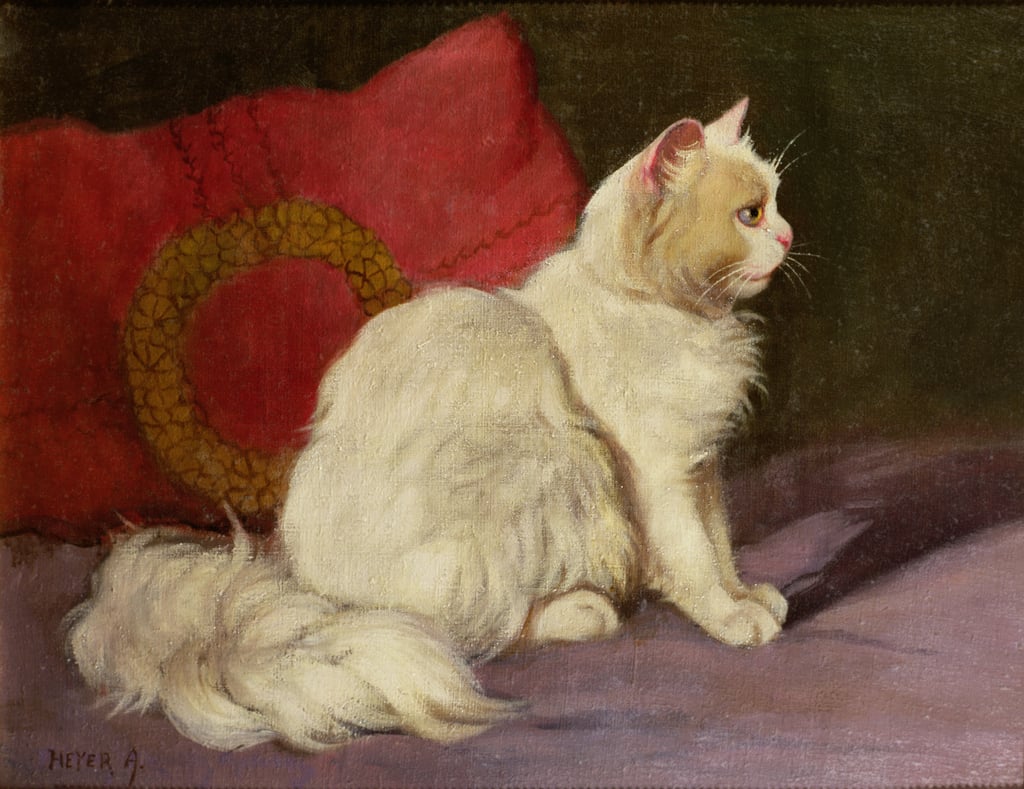 7-Arthur-Heyer-White-Persian-Cat-Meister-Drucke-203670