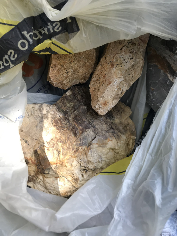 21AB73ED-D623-4D47-910E-D4912C891C2F