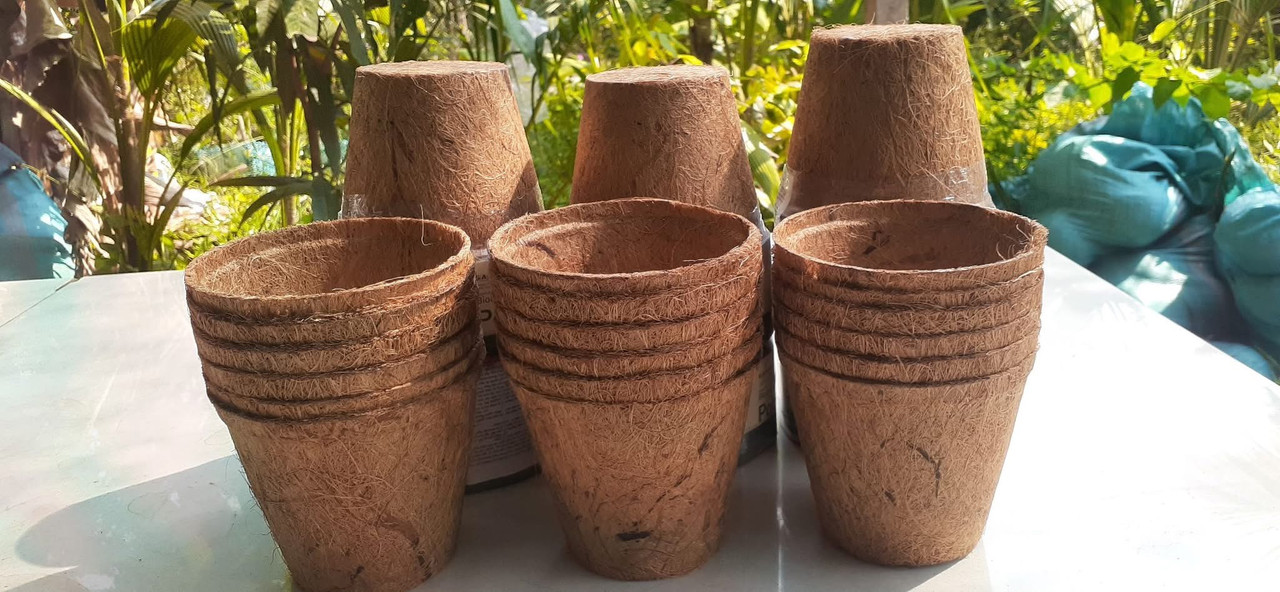Coir Pot