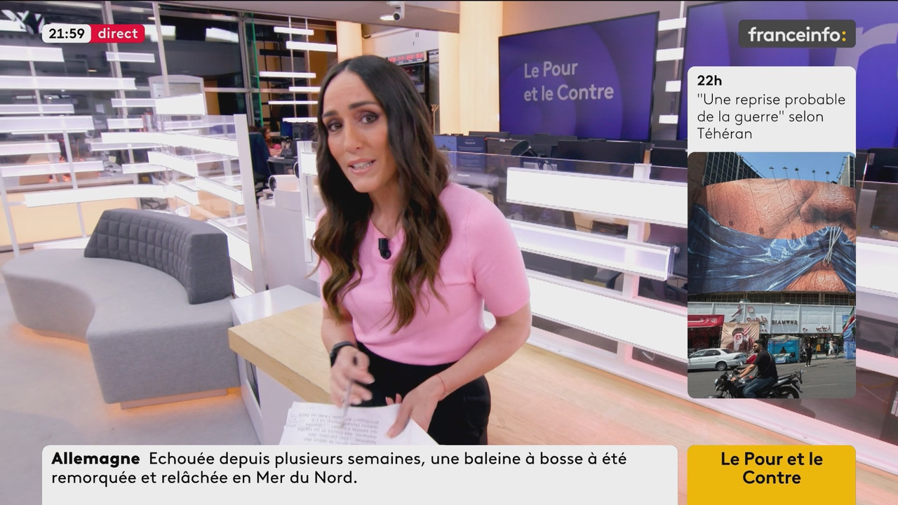 Le Pour et le Contre (Franceinfo) 2026 05 02 20 54 55 ts snapshot 00 06 30 106