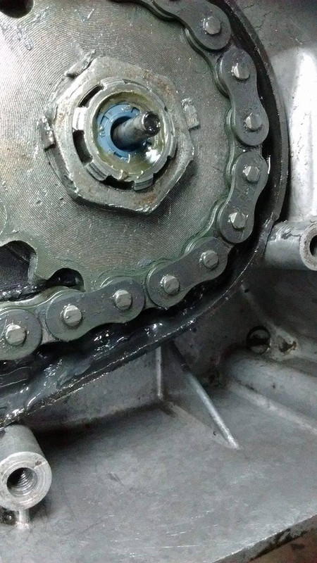 17779036_1529969370360518_2113244253_o