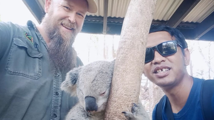 TribunTravel bersama Kane, seorang pawang satwa di Australia Reptile Park, berfoto dengan seekor koala bernama Gizmo, Kamis (31/10/2019).
