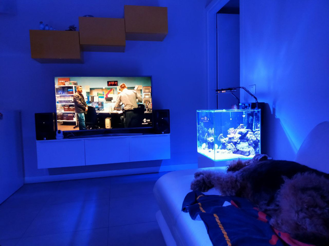 F231F864-E421-4731-9354-7CE5BB304167