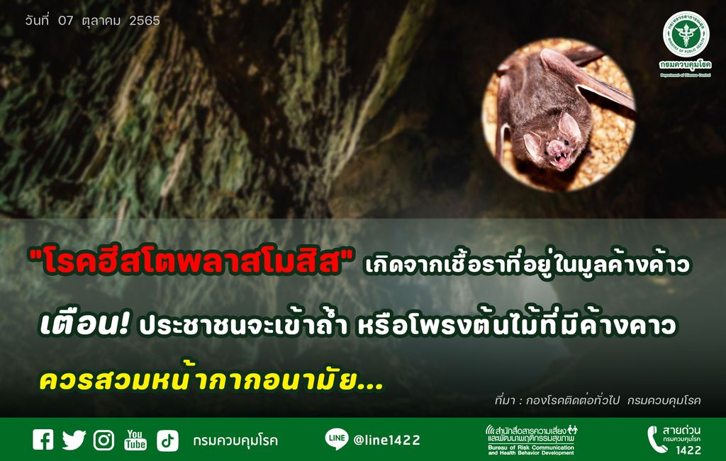 เตือนประชาชนจะเข้าถ้ำหรือโพรงต้นไม้ที่มีค้างคาวต้องสวมหน้ากากอนามัย ป้องกันการป่วยจากเชื้อรา (ฮีสโตพลาสโมสิส)