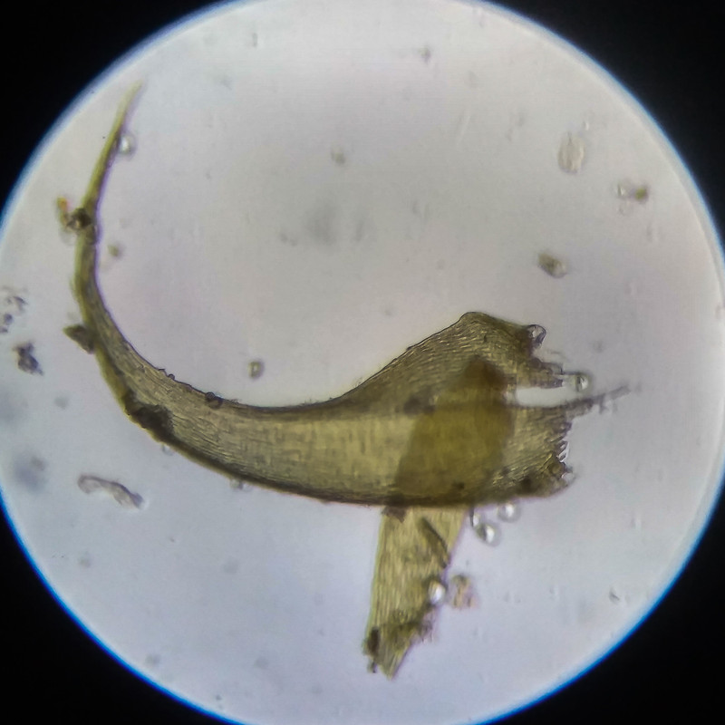 IMG 20250614 204454 HDR