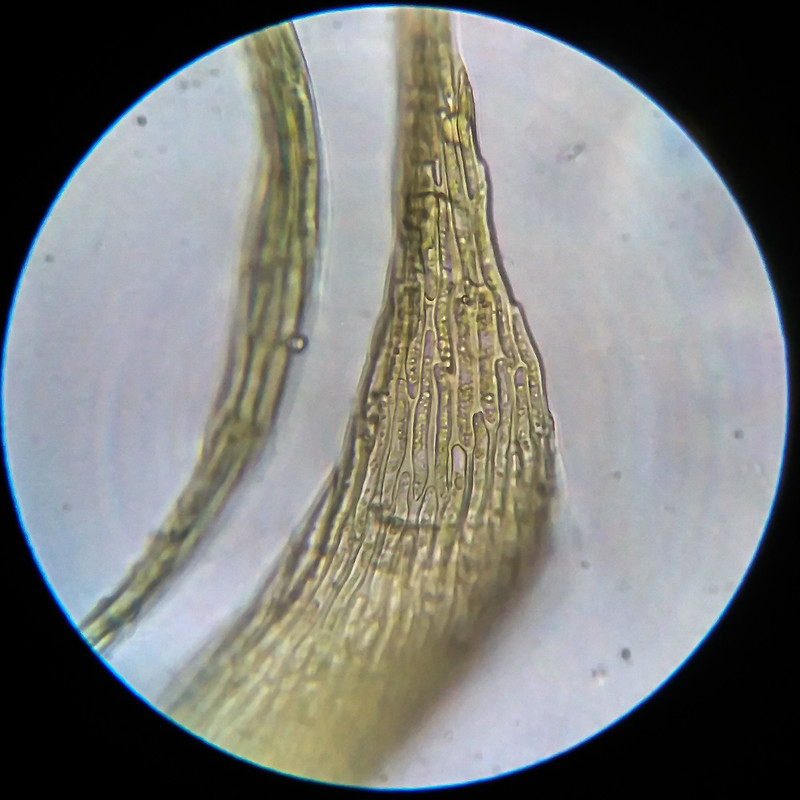 IMG 20250614 204239 HDR