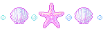 shells