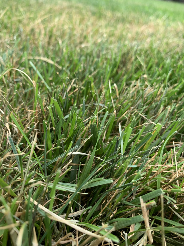 9D7D4B6C-DF37-487D-94C0-D8AC4319ED67