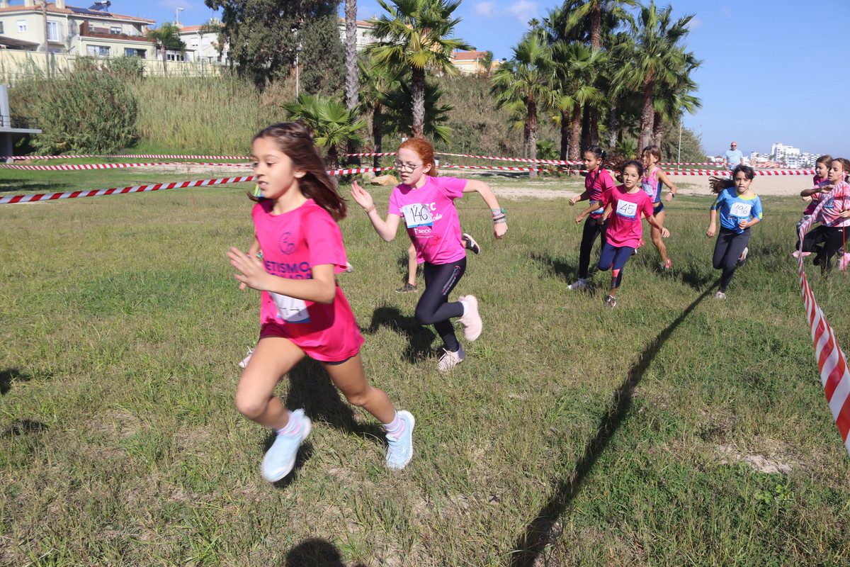 IMG-4173