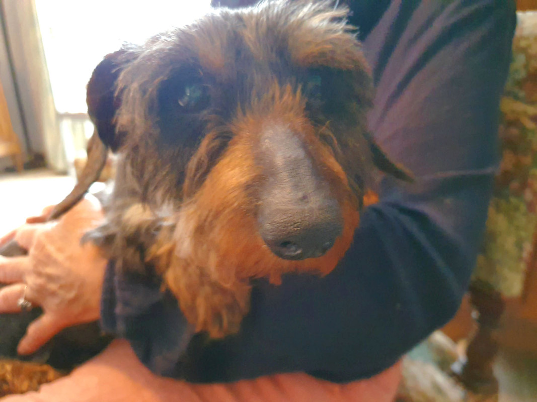 [Image: 20220606-184301.jpg]