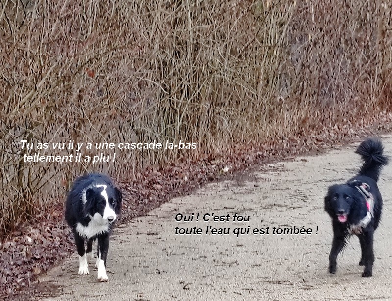 IMG-20260211-122835bb