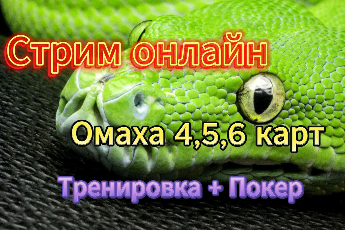 Скриншот 15-03-2025 113539
