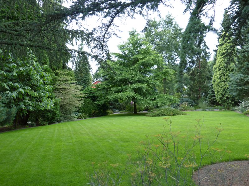 2014-07-13 Arboretum Härle 14