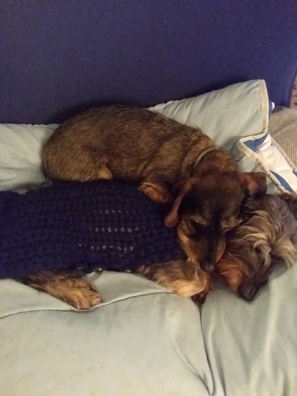 [Image: 20221123-202053.jpg]