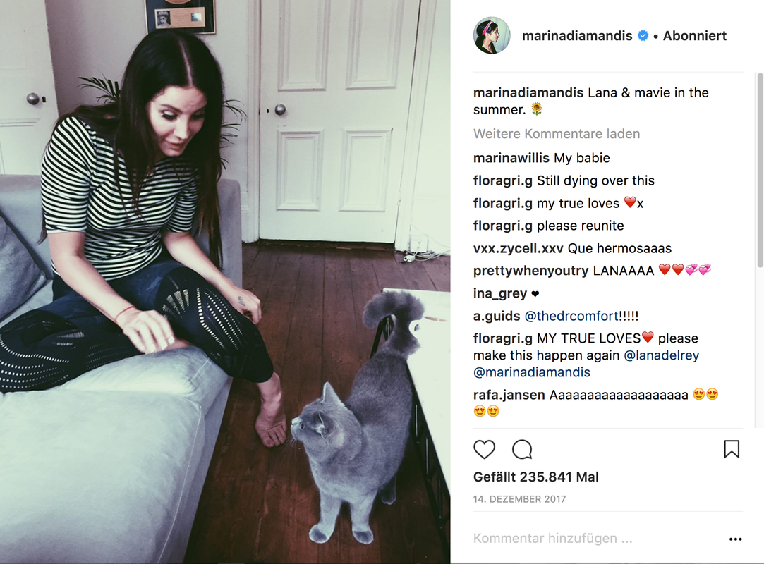 Lana Marinas Katze