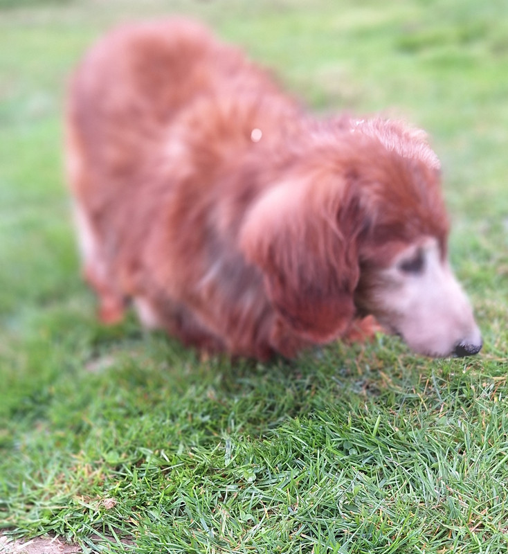 [Image: 20250321-095144.jpg]