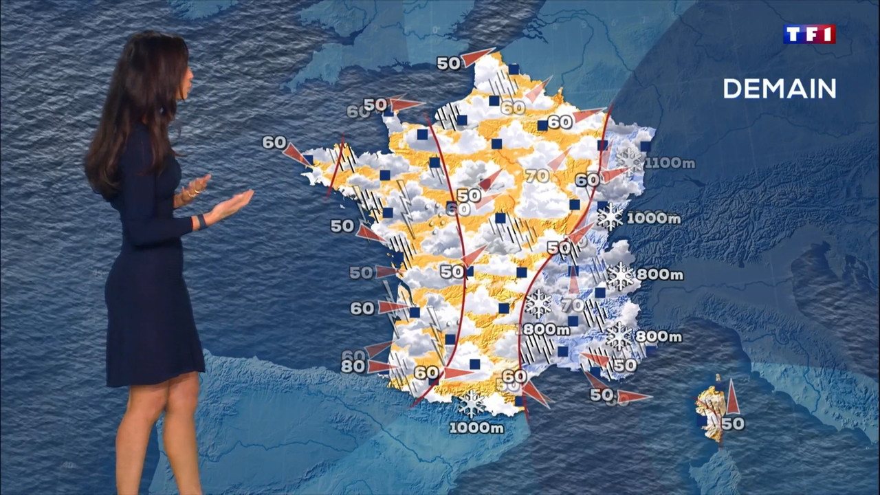 2022-02-13_20_00_TF1_Le-20h.mp4_snapshot_00.01.49.767