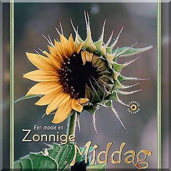 18.jpg  border=