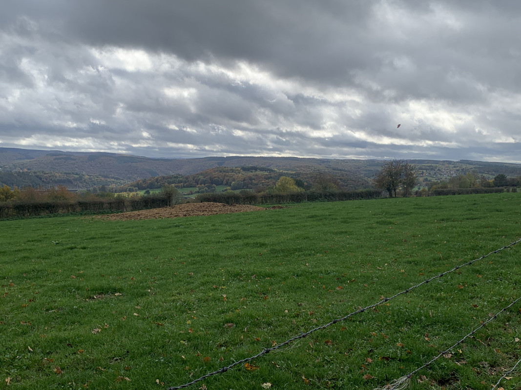 751729C2-DE3B-4E1E-932A-0E00B6022C86