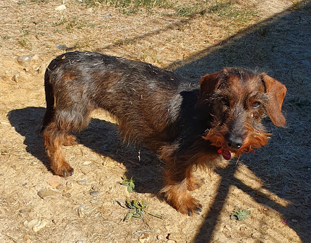 [Image: 20220812-104932.jpg]