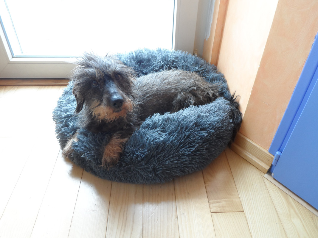 [Image: SAM-9711.jpg]