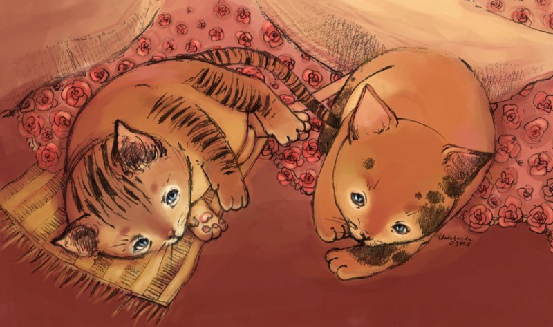 09