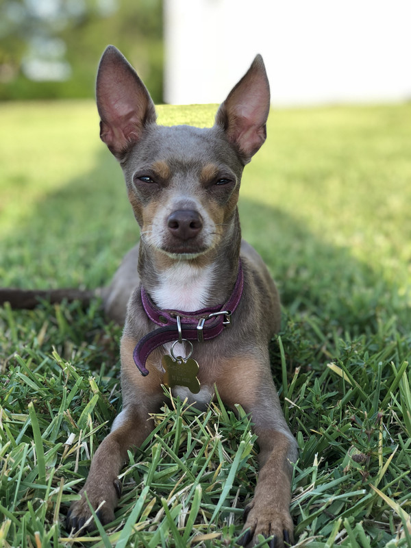 64CC3BAB-3202-4877-A005-27B49C51A0AD