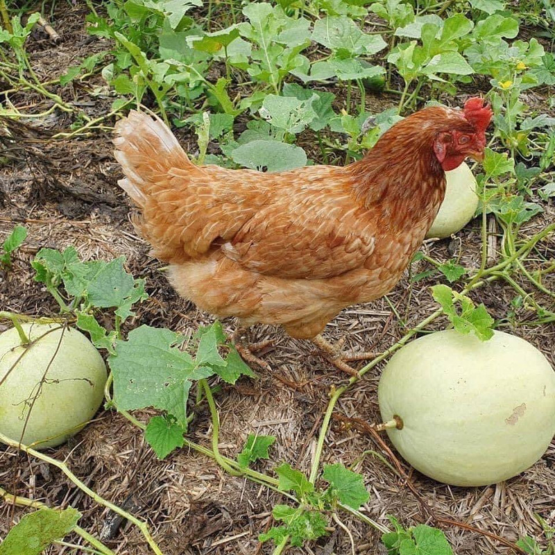 709BDFED-F53E-4F4D-A1B1-2DC5155A6E8D